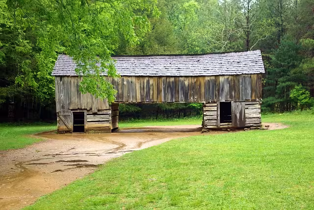 A cabin in Cade's Cove for local decor inspiration.