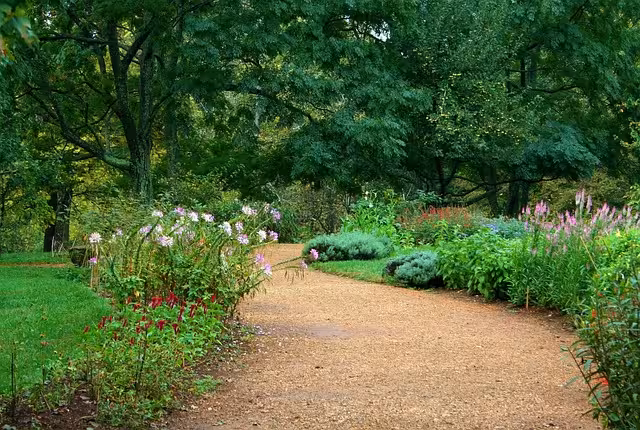 A pebble garden path.