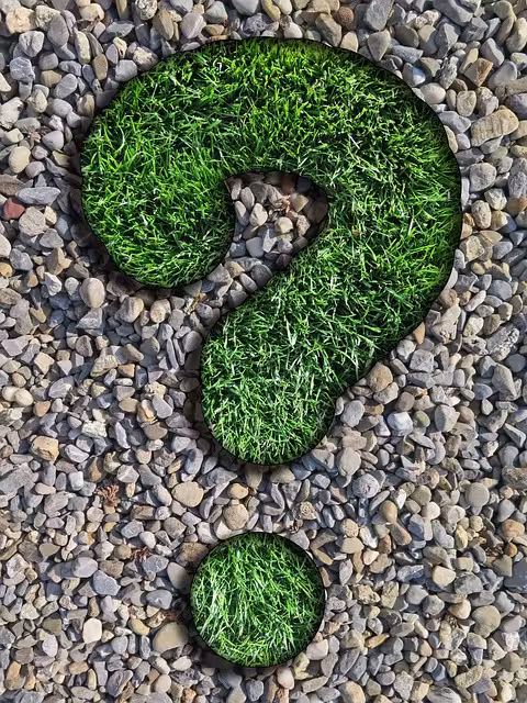 A question mark out of grass.