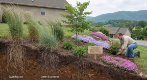 Native plants on an e TN hillside.