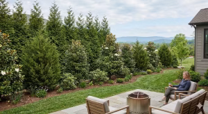 A woman looking at trees for privacy.