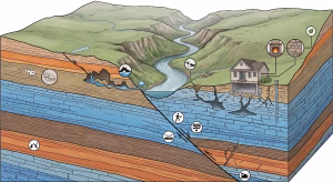 The holston and watauga river basins.