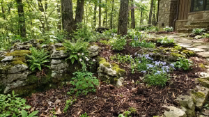 Limestone karst soil in e tn.