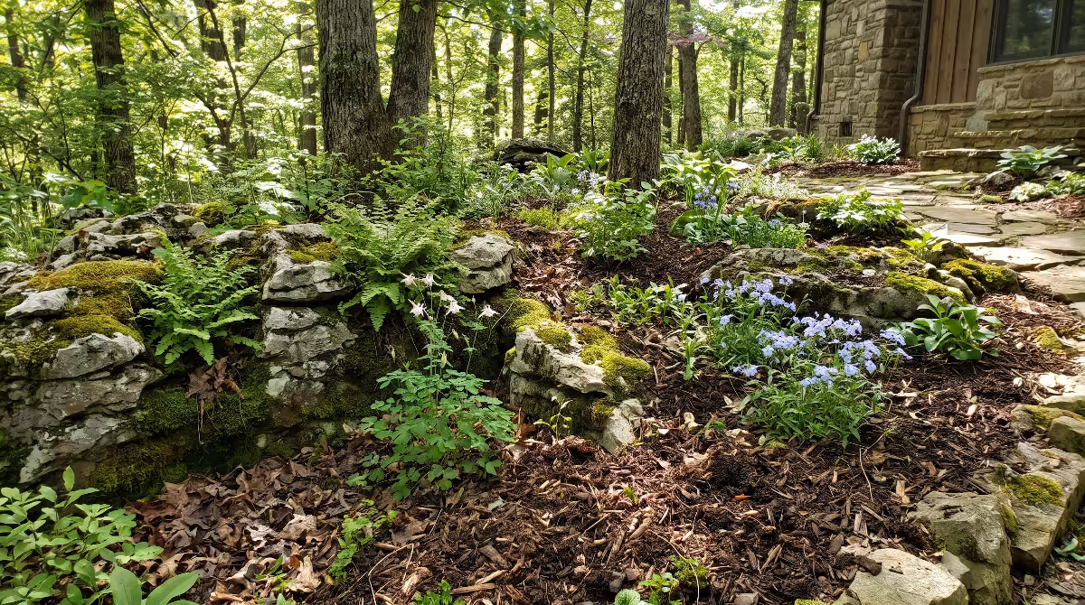Limestone karst soil in e tn.