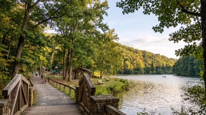 Parks in bristol tn.